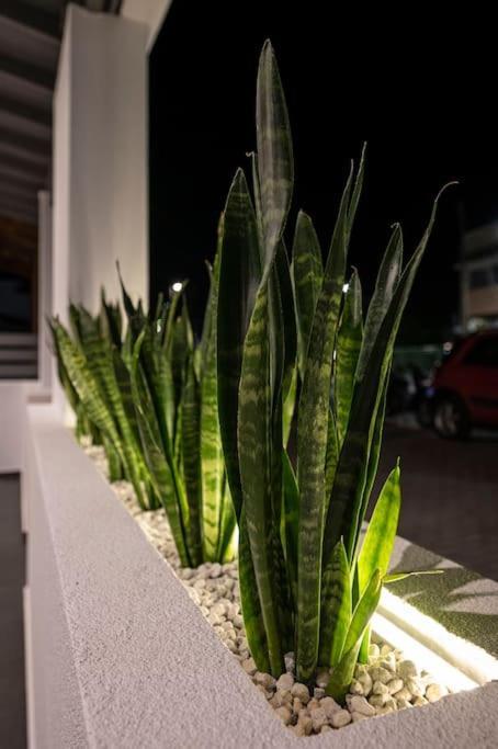 Poem Appartement Kos-stad Buitenkant foto